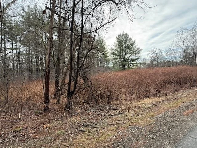 Photo of 269 West River