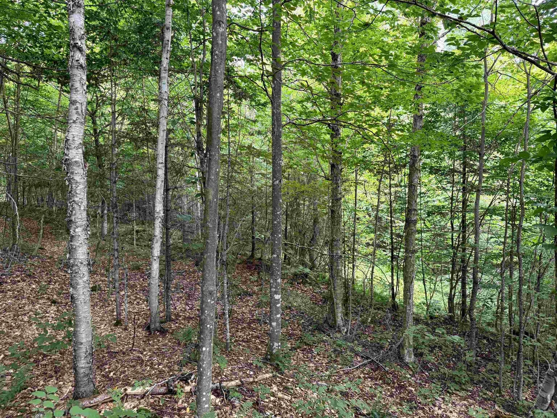 Photo of 4716 Route 5