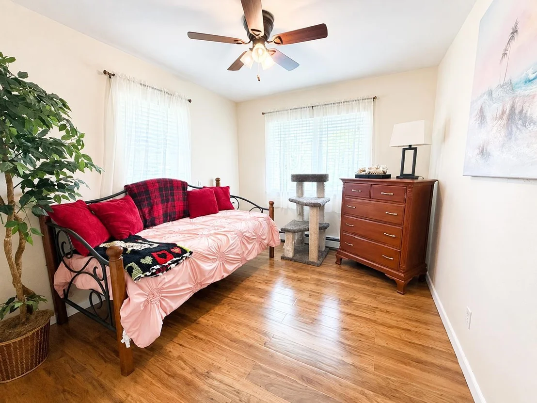 Photo of 49 Jasper
