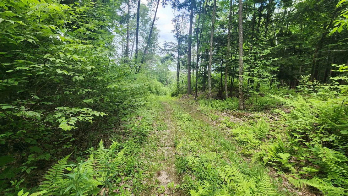 Photo of 0 Spencer Hollow