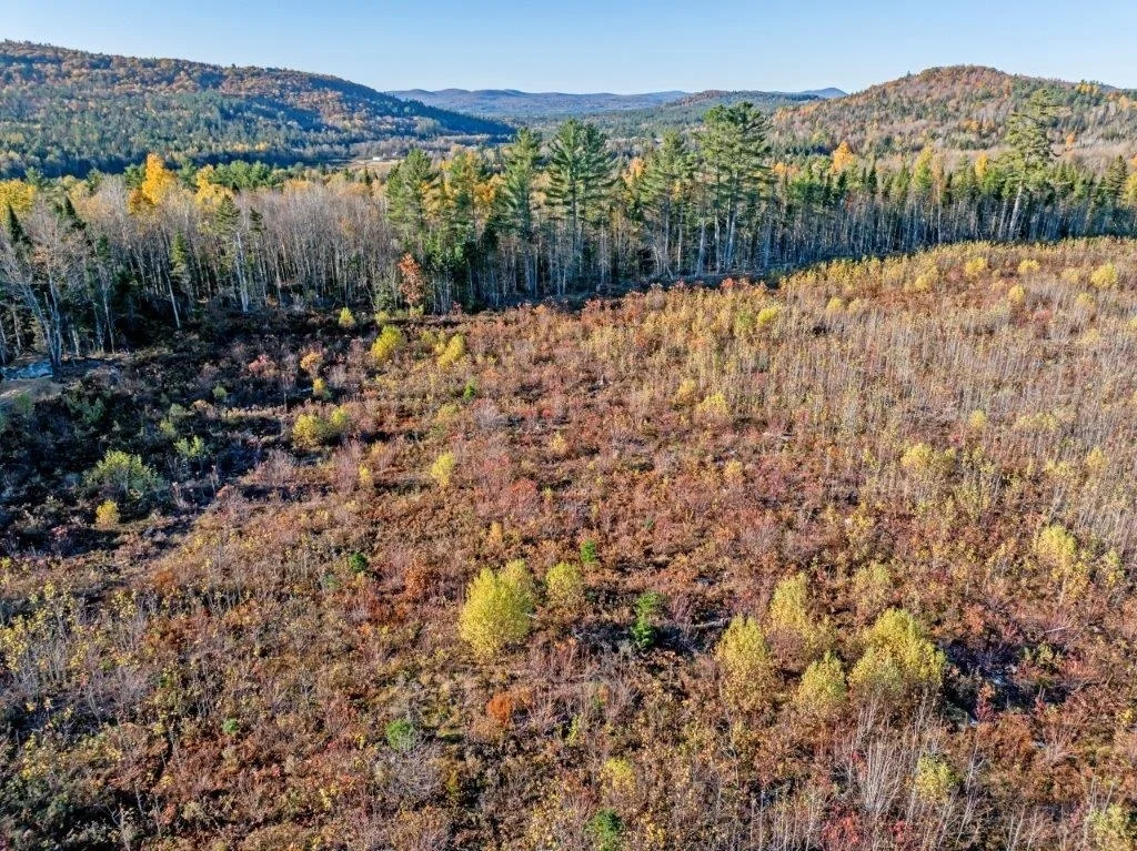 Photo of Lot 2 McIntyre