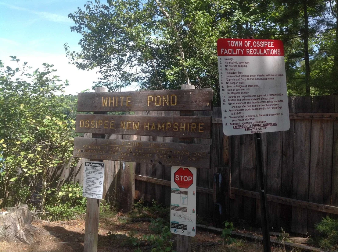 Photo of 40 White Pond