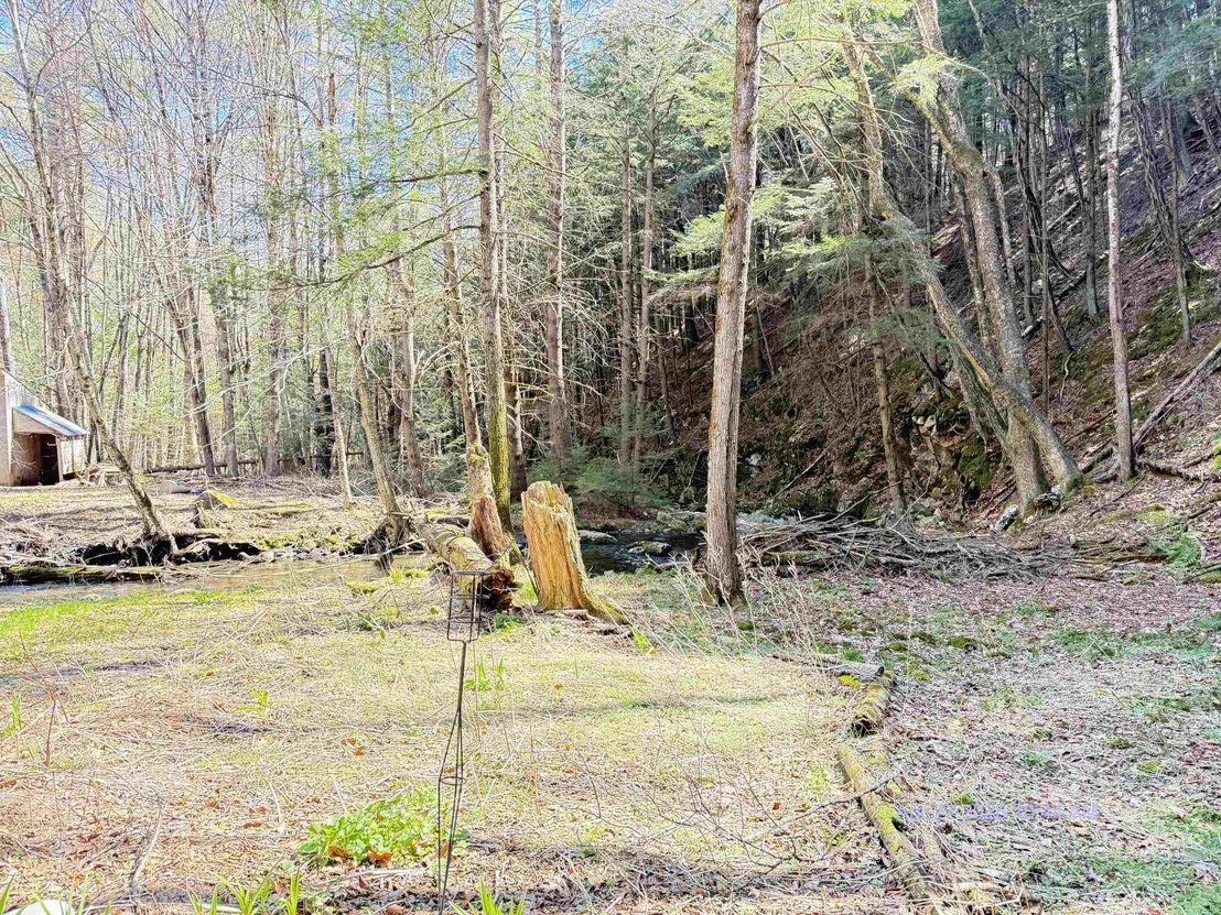 Photo of 2390 Morse Brook