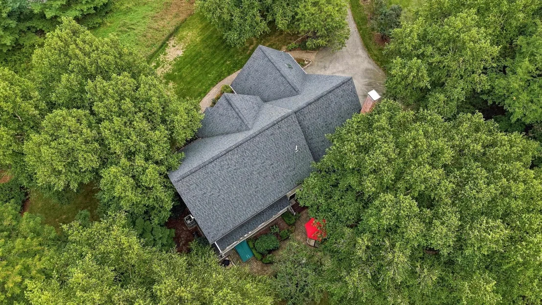 Photo of 5 New South
