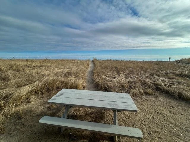 Photo of 99 OCEAN