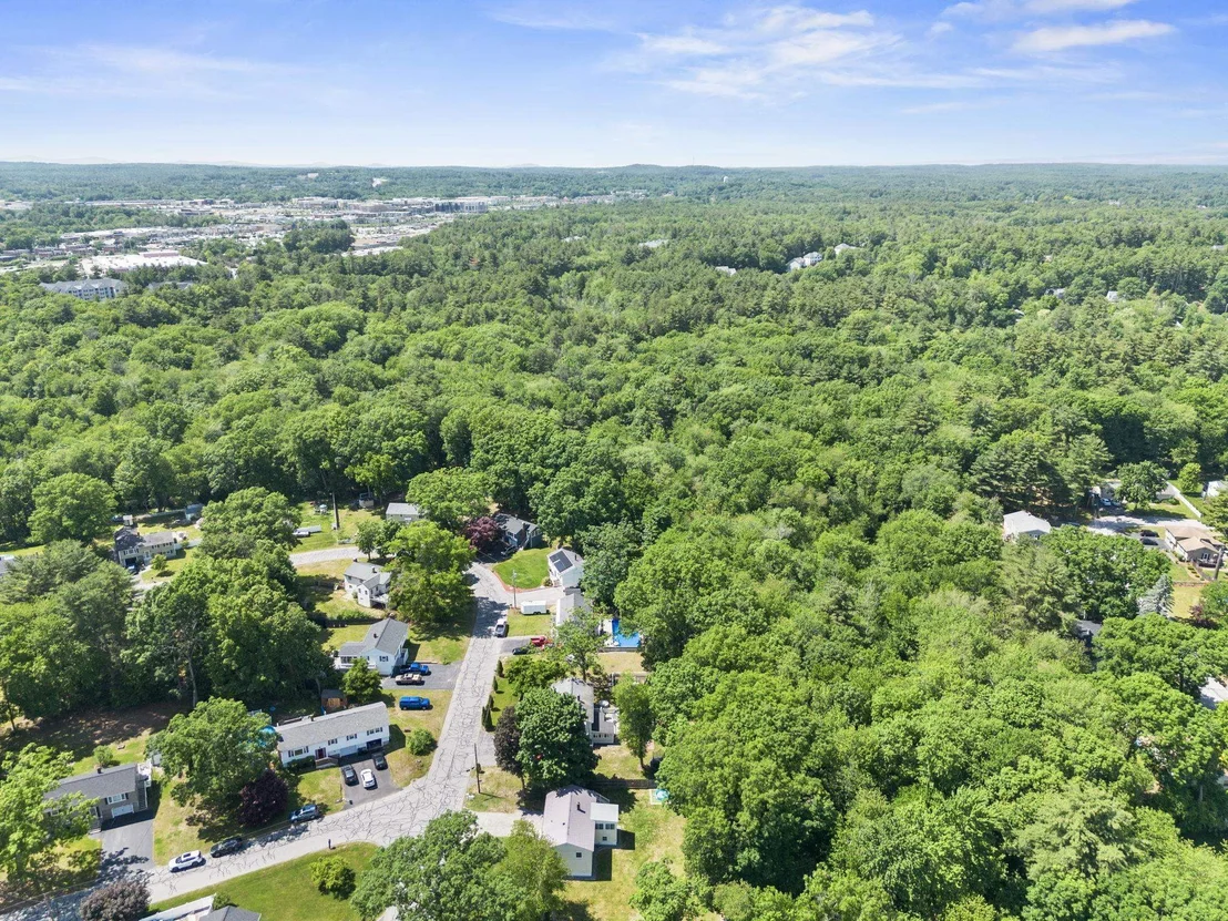 Photo of 6 Cypress
