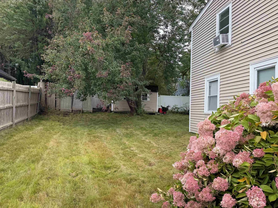 Photo of 39 Pike