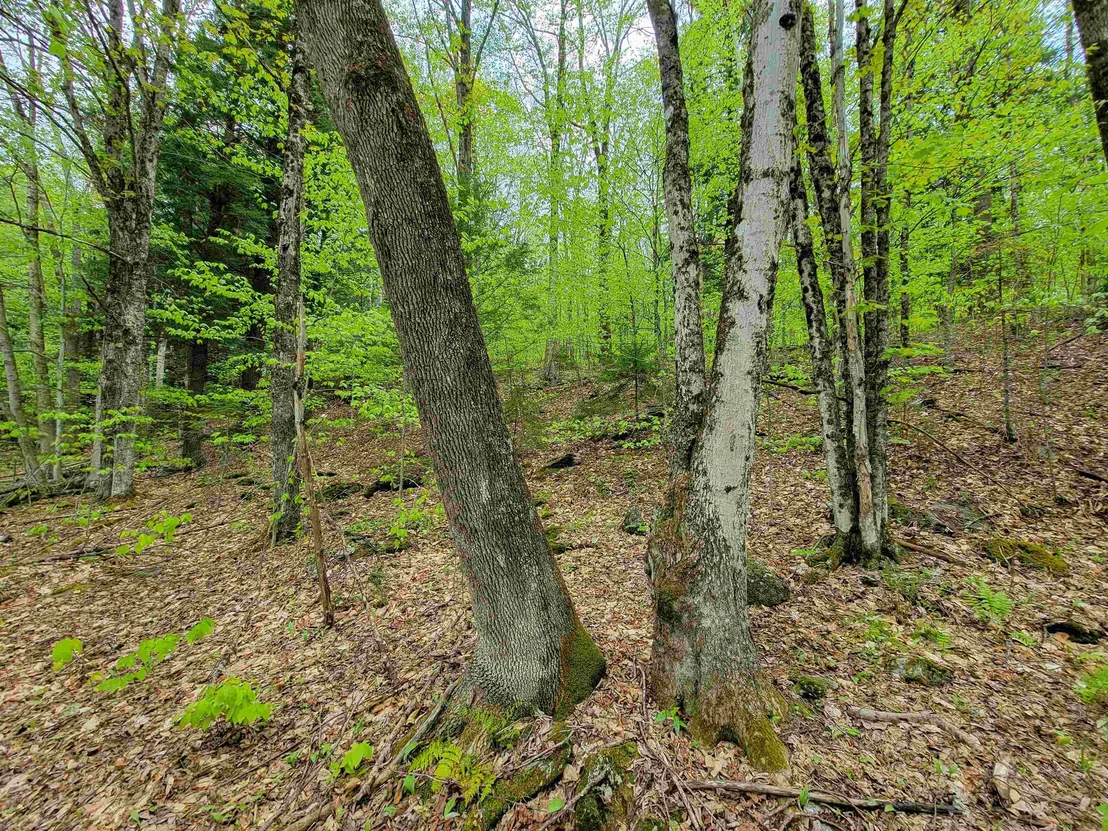 Photo of 660 Brookview