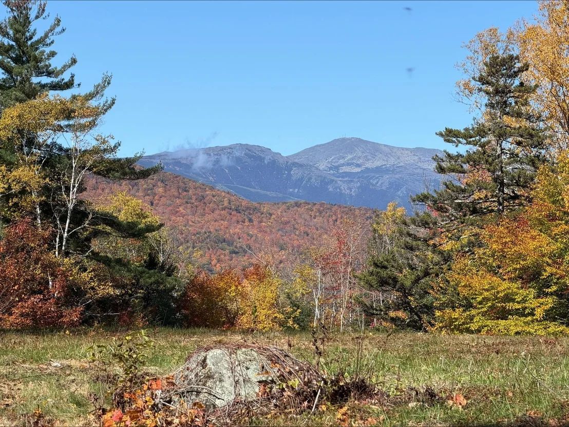 Photo of 218 Black Mountain