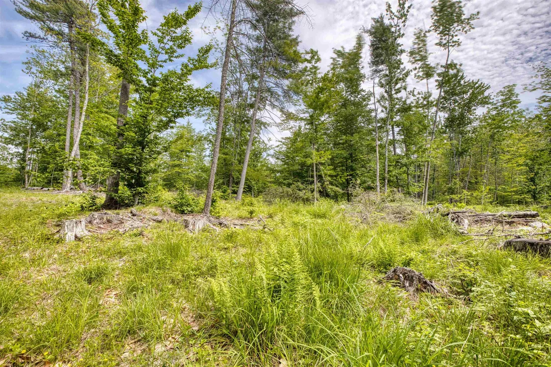 Photo of 160 Browns Ridge