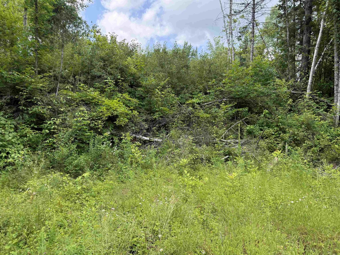 Photo of Lot 5 VT Route 102