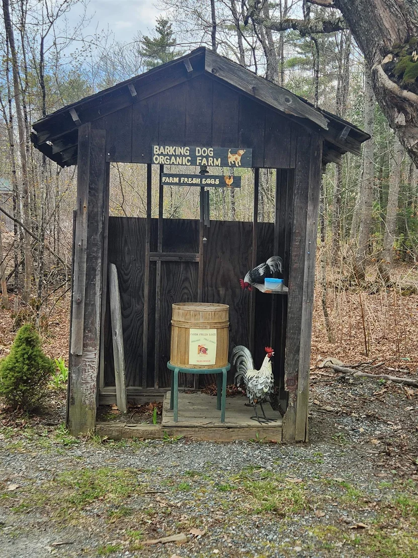 Photo of 27 Bear Pond
