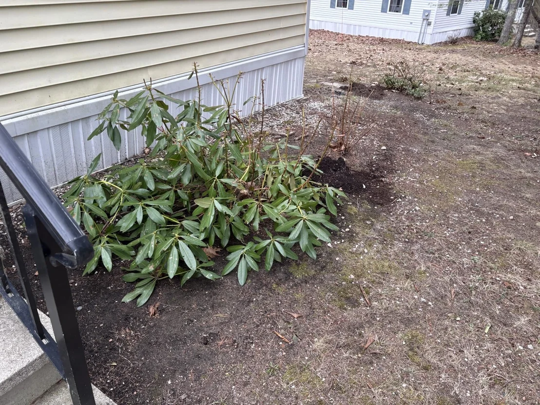 Photo of 17 Harvey Brook