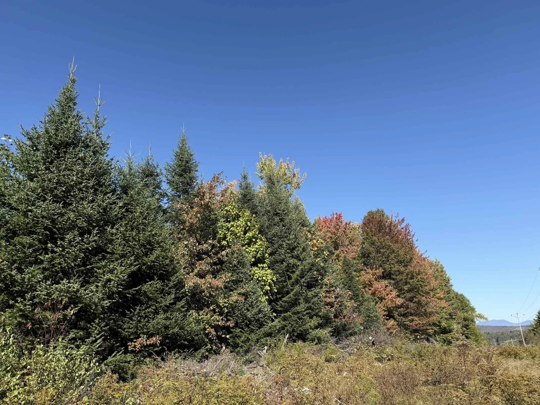 Photo of 2870 Leonard Hill