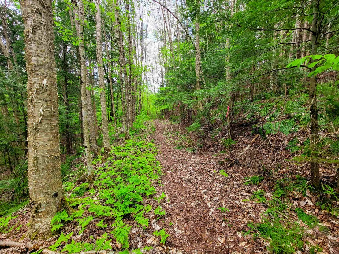 Photo of 167 High Meadow