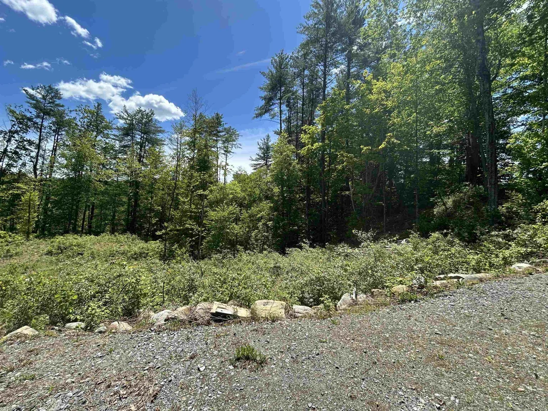 Photo of 14 Sugar Lot