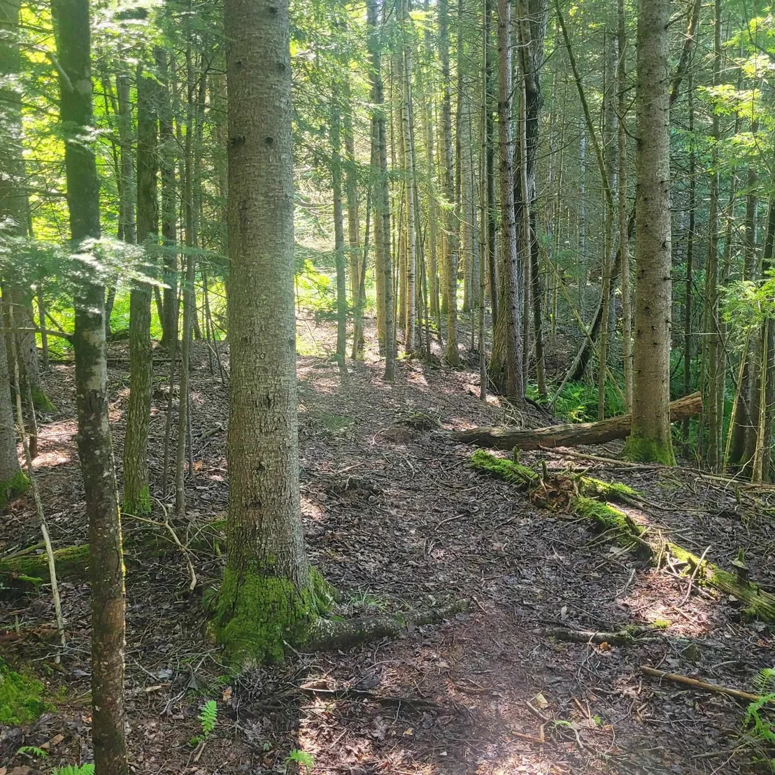 Photo of 102 River Bend Meadow