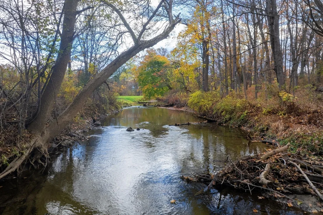 Photo of 19 River