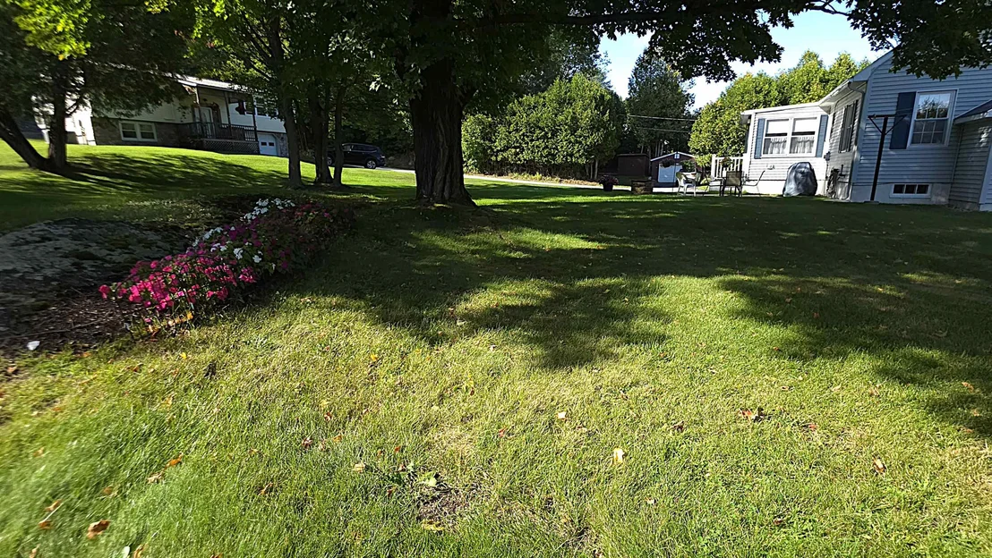 Photo of 14 Gordon