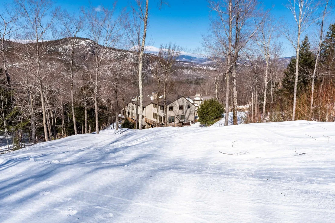 Photo of 31 Ammonoosuc