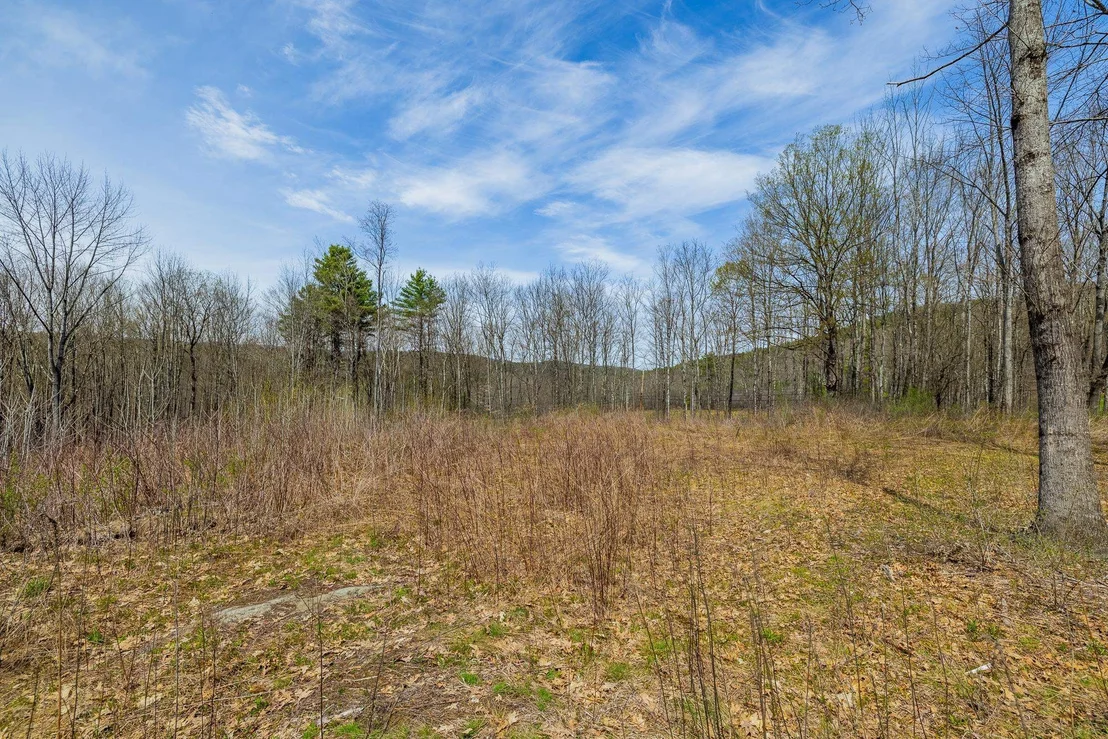 Photo of 00 Olcott