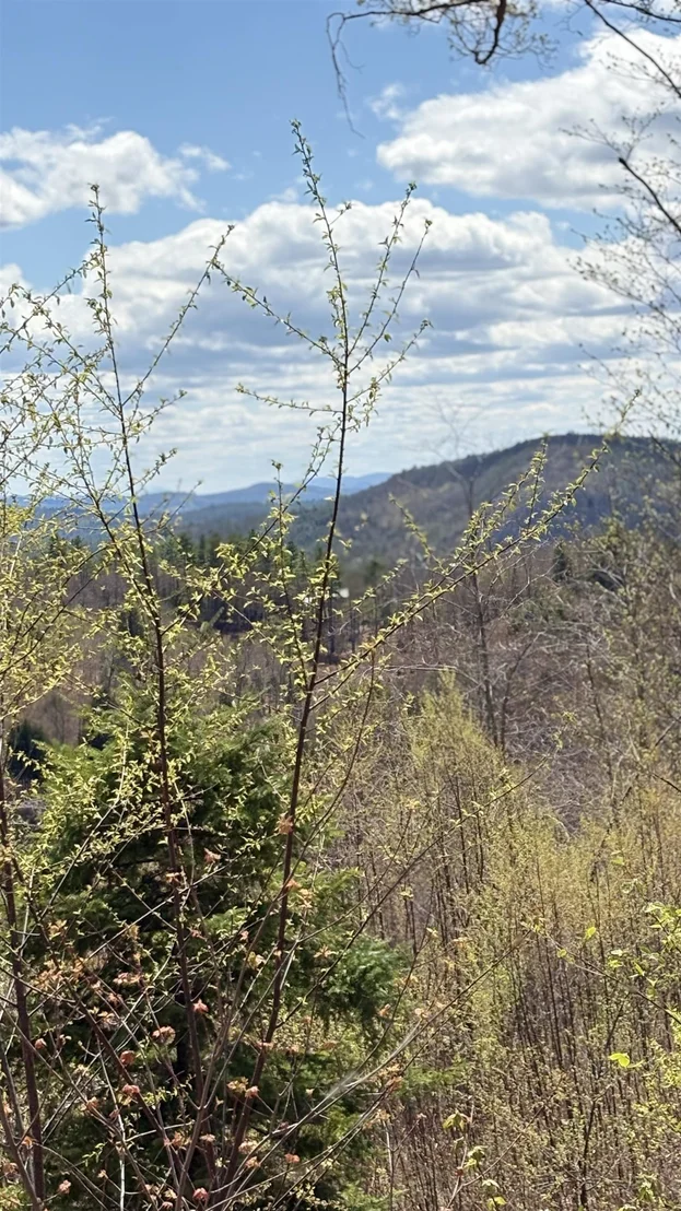 Photo of Unit LOT3 at 0 Oregon