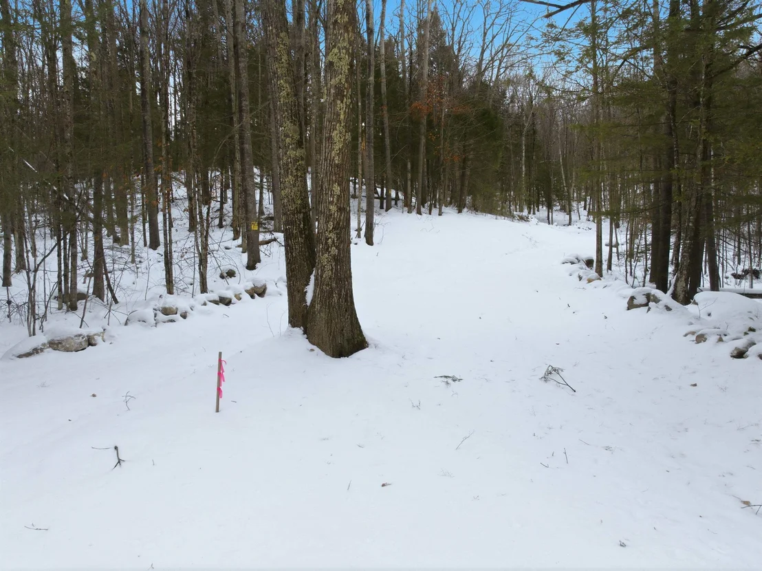 Photo of 00 Quaker