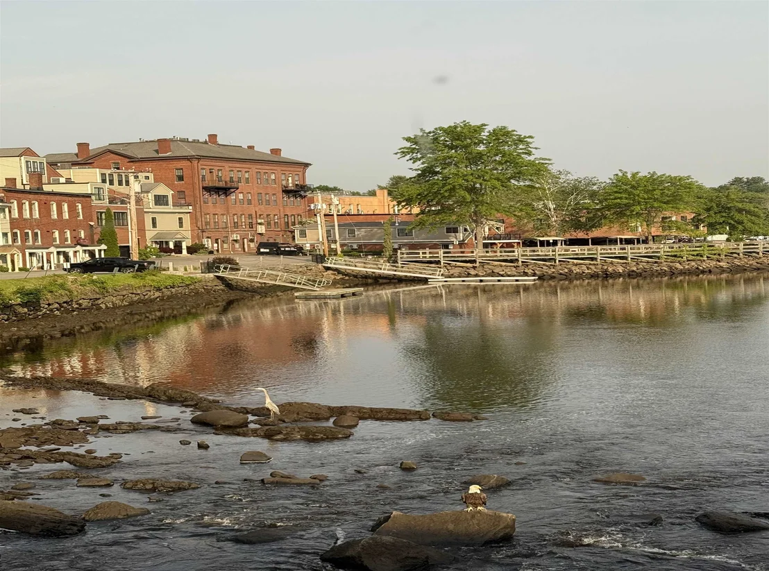 Photo of 10 String Bridge