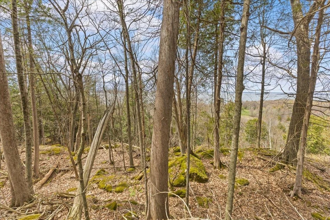 Photo of Unit LOT1 at 0 Bullock