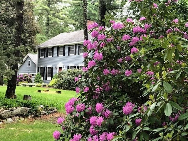 Photo of 153 Castle Hill