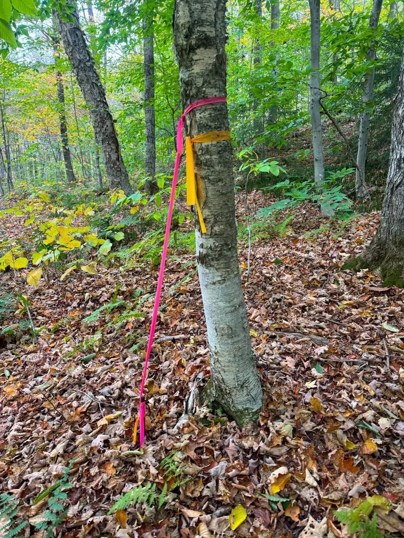 Photo of 0 Cider Mountain