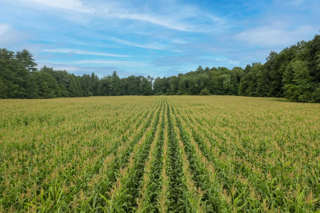 Photo of 0 Forest Dale