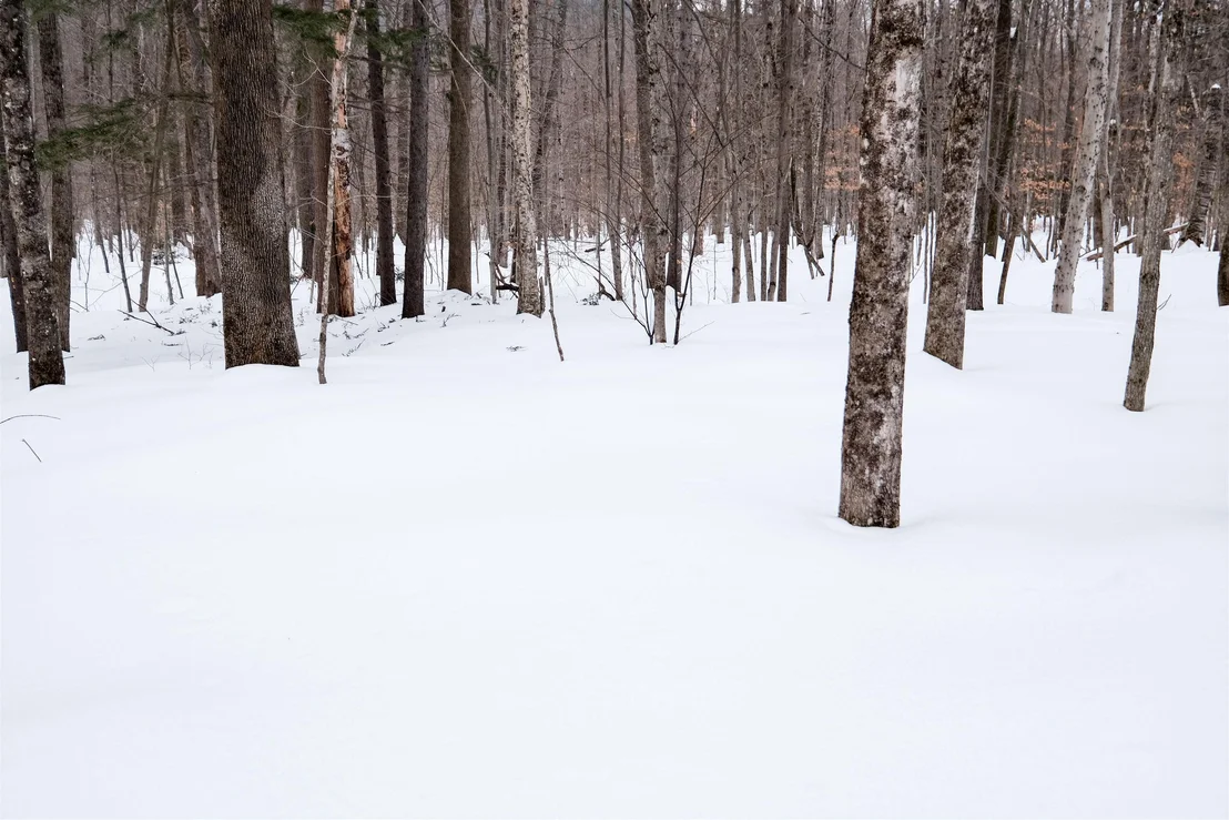 Photo of 0 Markham Mountain