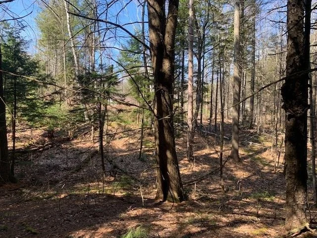 Photo of TBD VT Rt 100