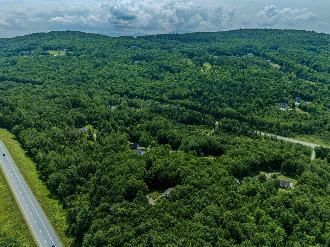 Photo of 61 Forest