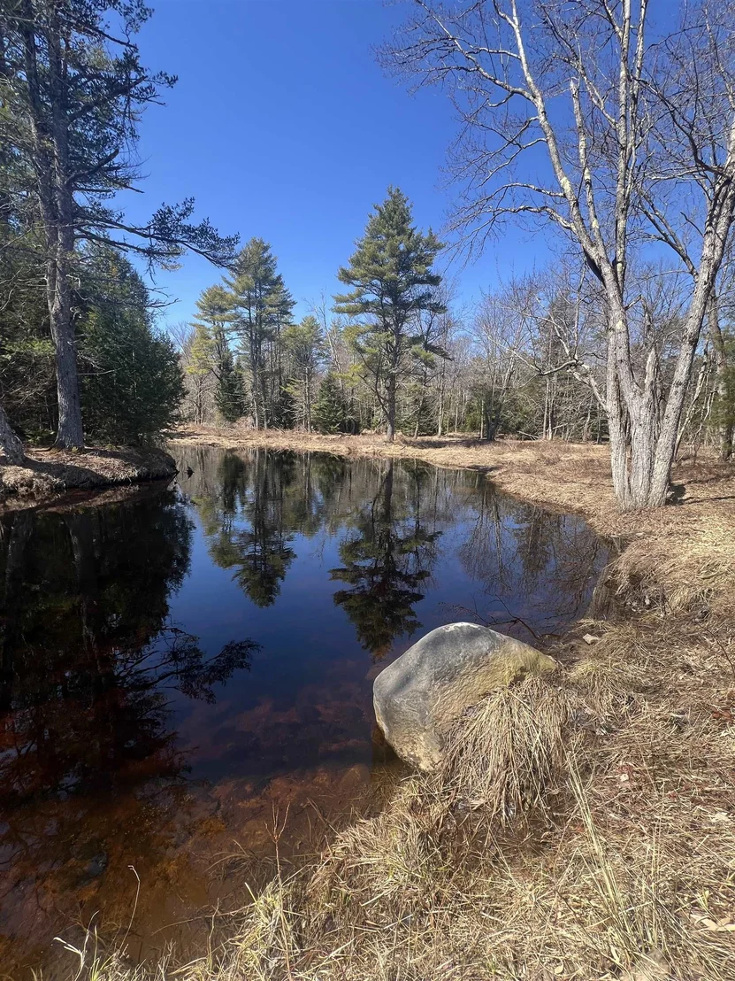 Photo of Map 9 Lot 2 Beech Ridge