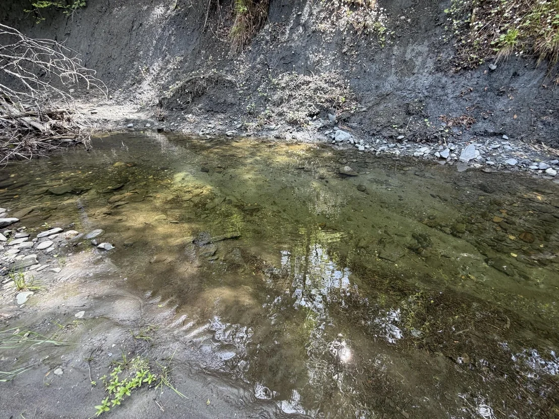 Photo of 2278 Valley