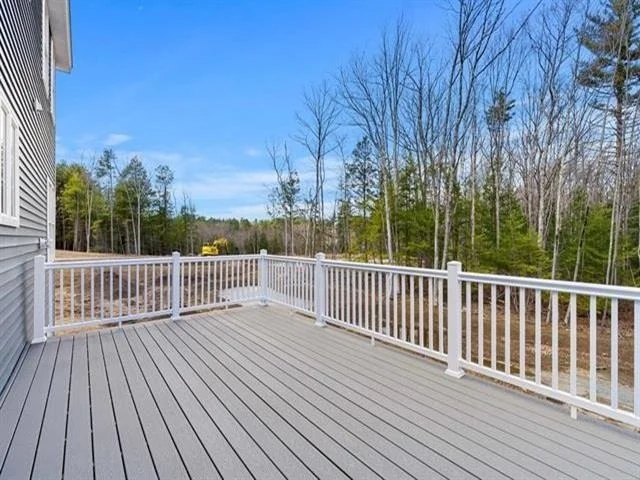 Photo of 9 Winterberry