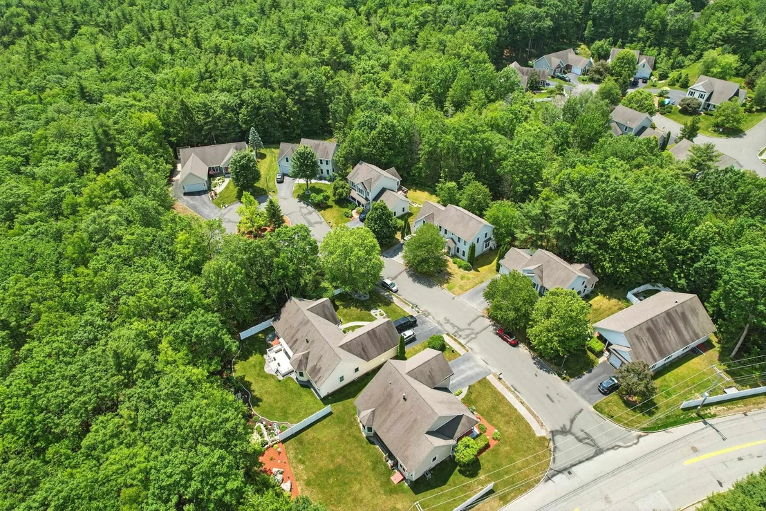 Photo of 55 River Birch