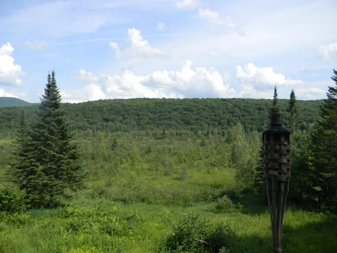 Photo of 24 Nash Stream