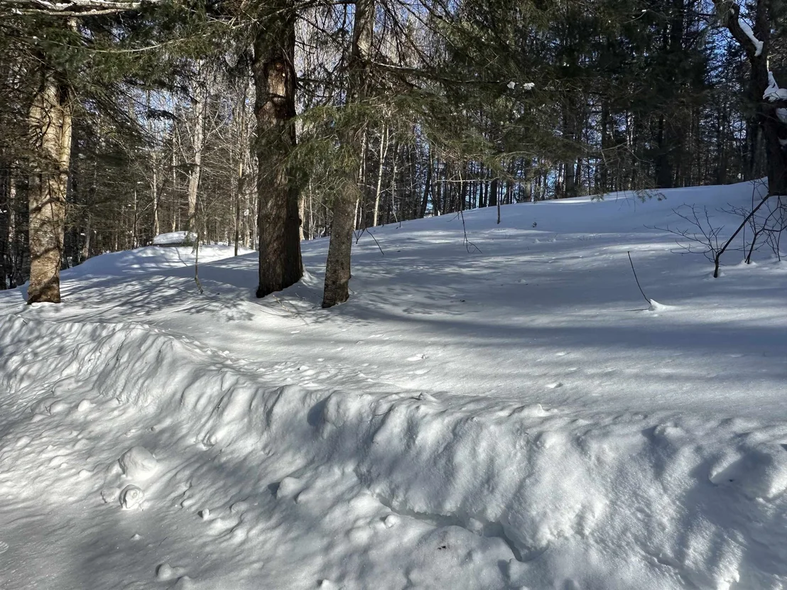 Photo of 9 Dry Pond