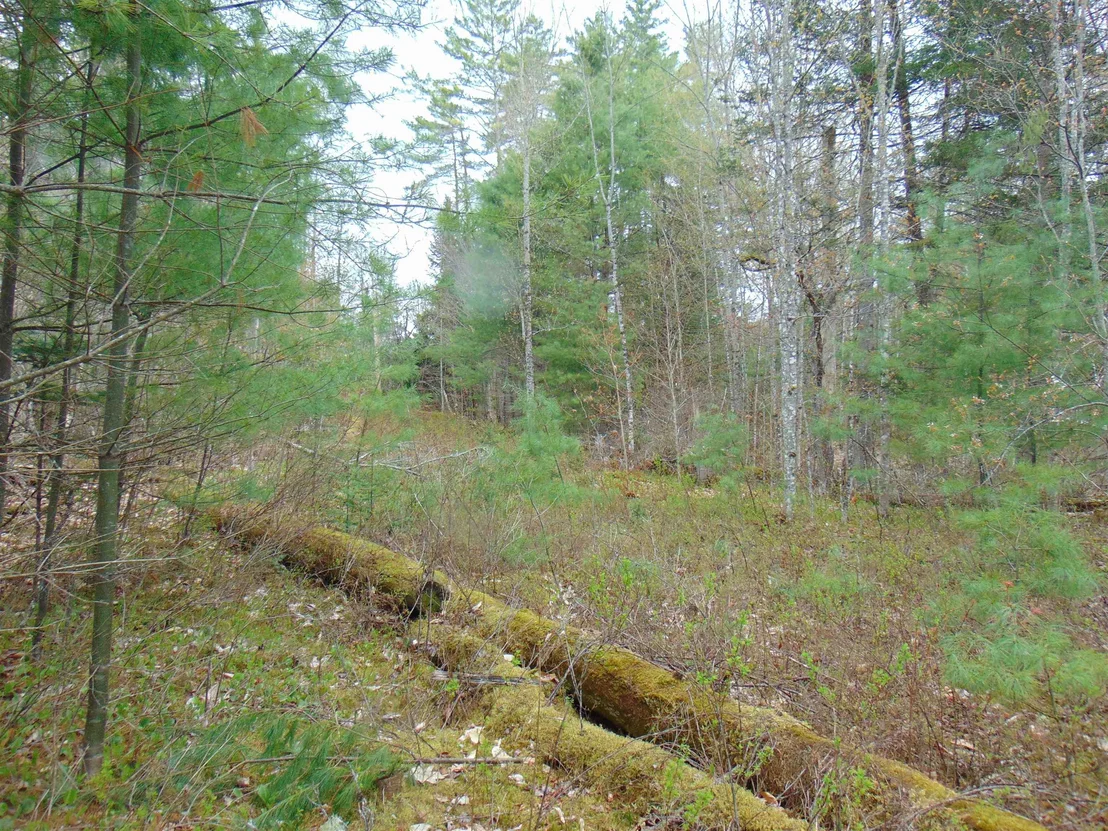 Photo of 000 Walker Pit