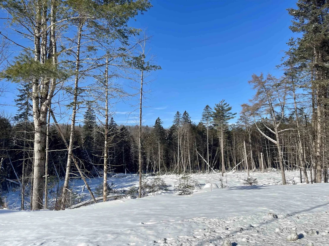 Photo of 00 Vermont Route 5A