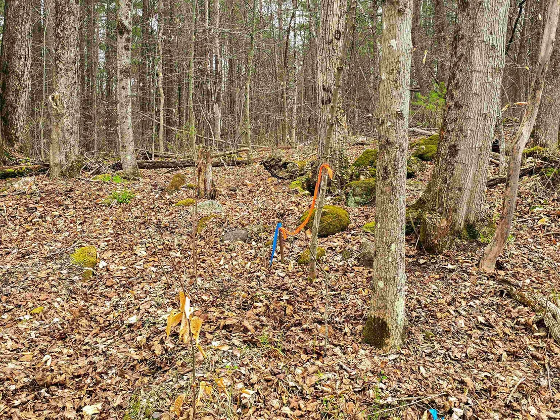 Photo of 765 Camp