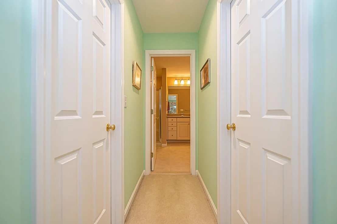 Photo of 7 Drumlin