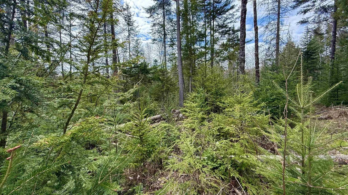 Photo of 227 Dukes