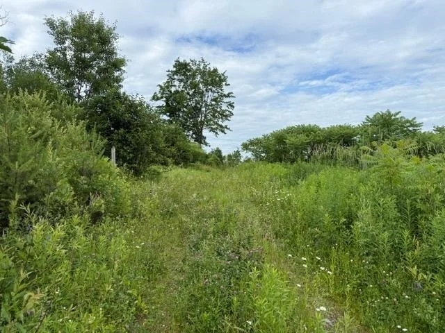 Photo of 489 Route 15