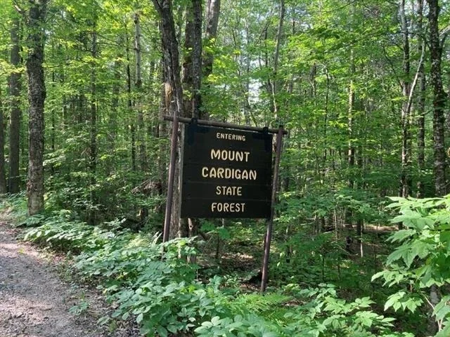 Photo of 37 Maple