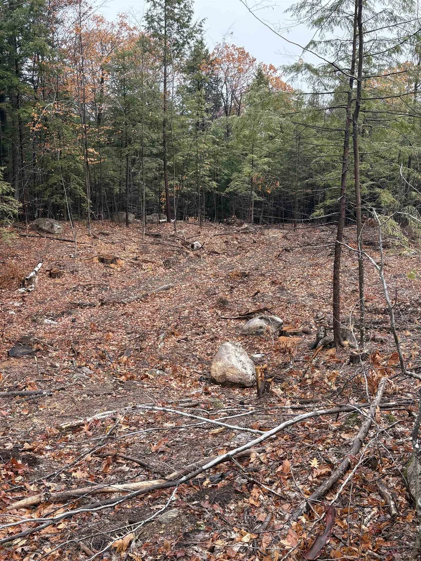 Photo of Unit 8 at 7 Sugarloaf