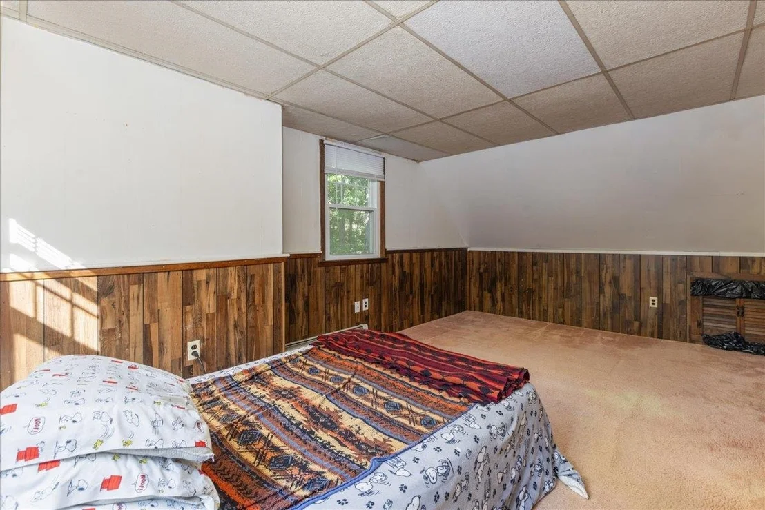 Photo of 8 Juniper